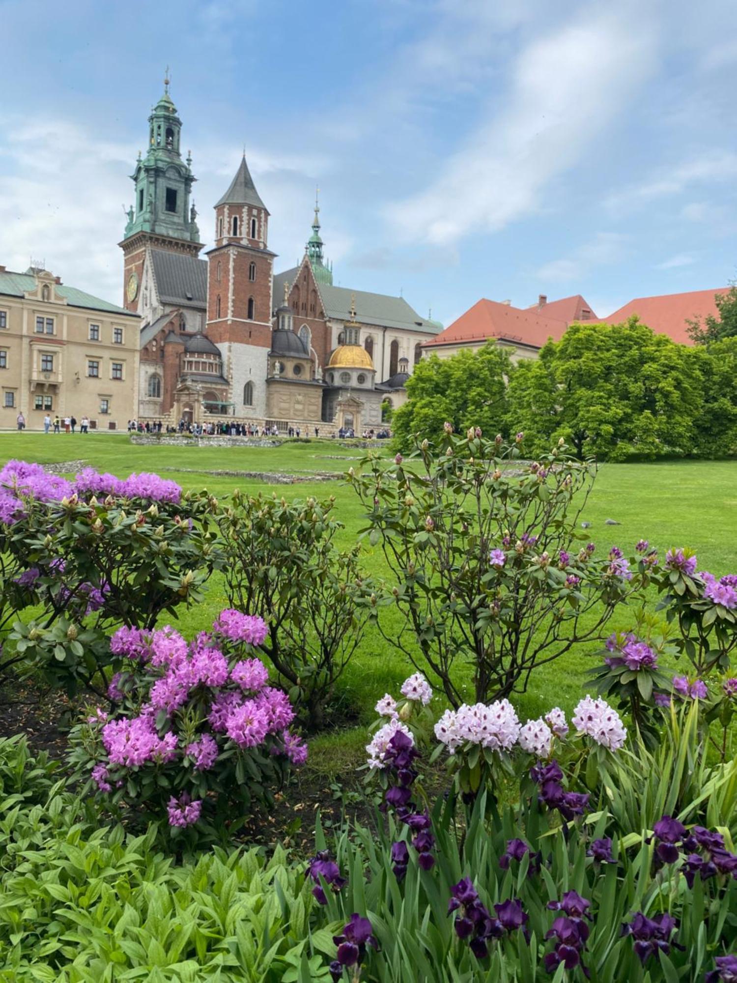 Art Inn Space Krakow Luaran gambar